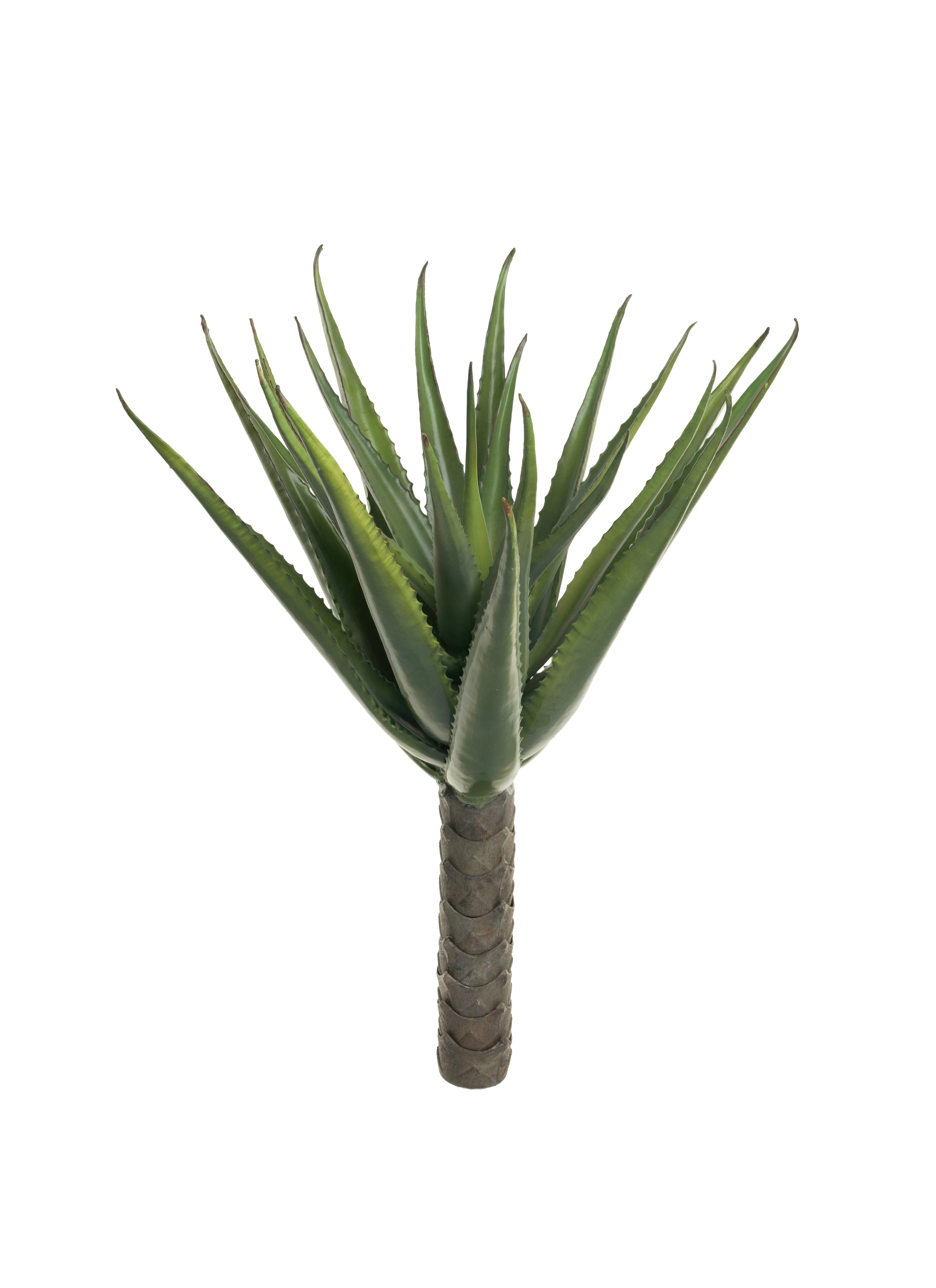 31" Aloe Stem AV1027