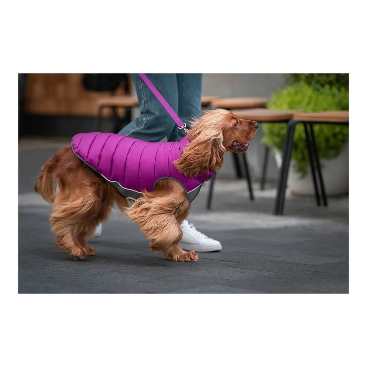 Dog Coat Red Dingo Puffer Pink/Purple 35 cm