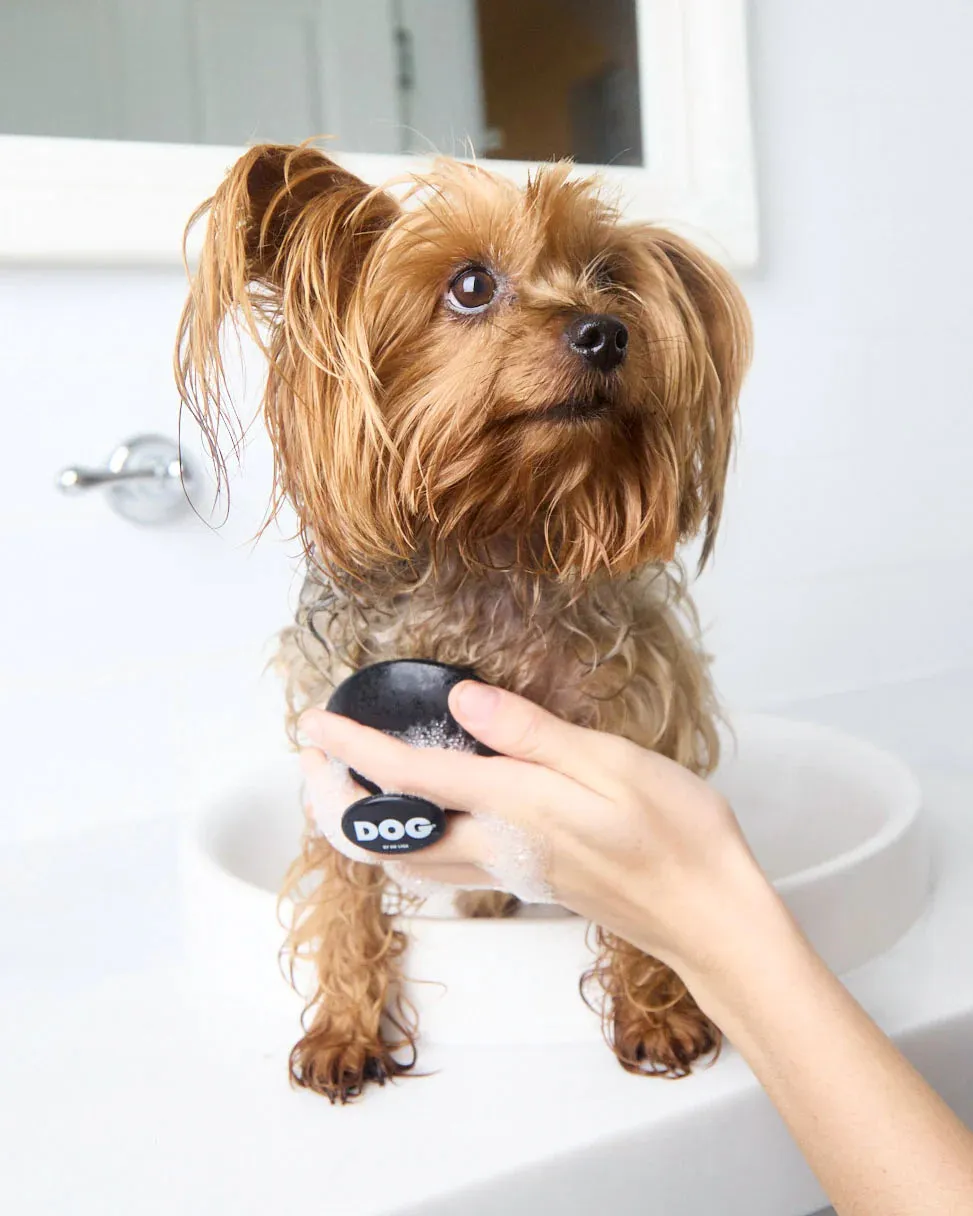 DOG Wash Brush in Black