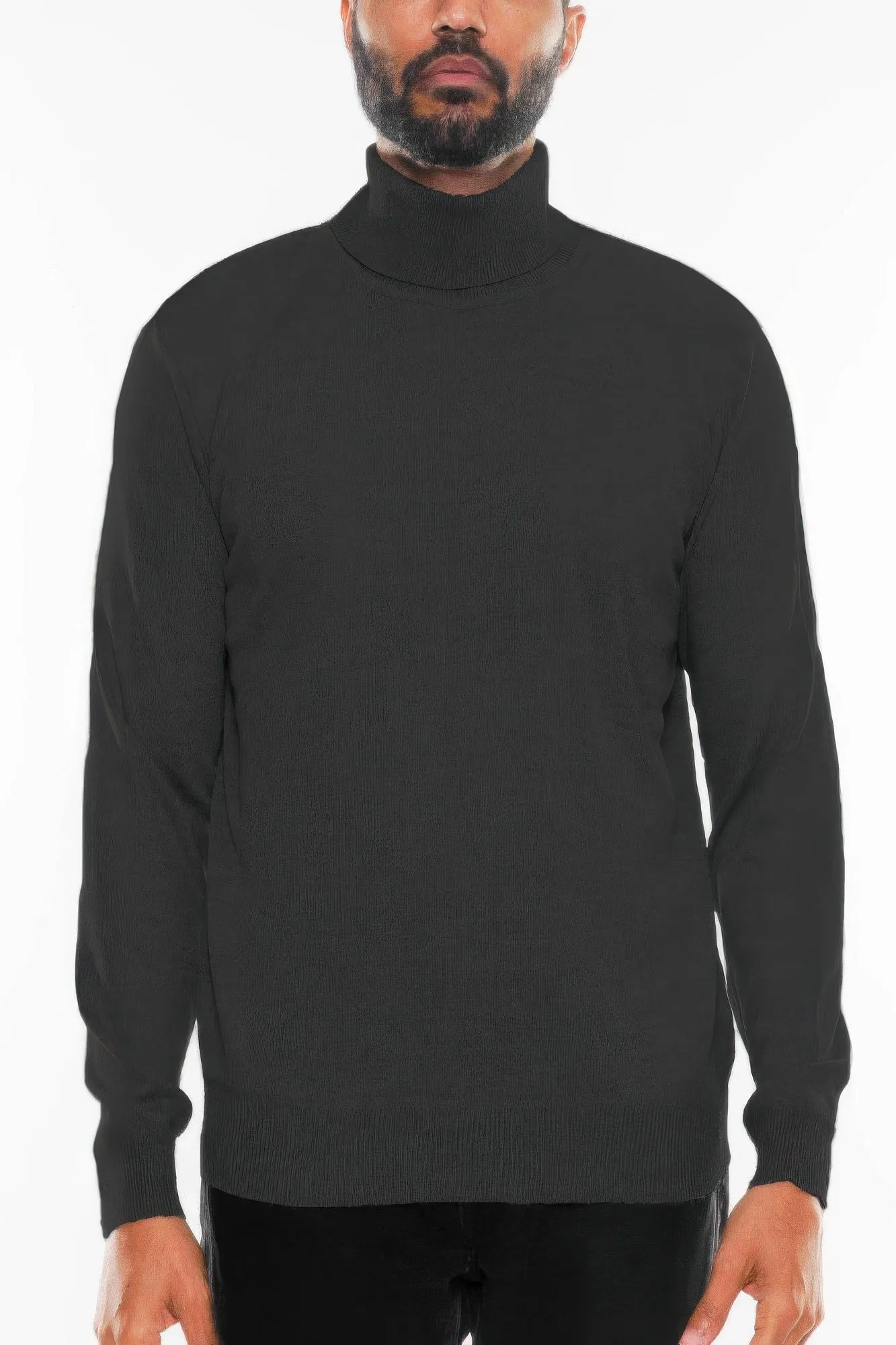 Mens Solid Turtleneck Sweater