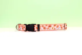 Poppy flower collar,Flower,Orange California poppy ,Orange dog collar,Orange cat collar,Poppy flower,Wide Cat collar,Flower Dog collar