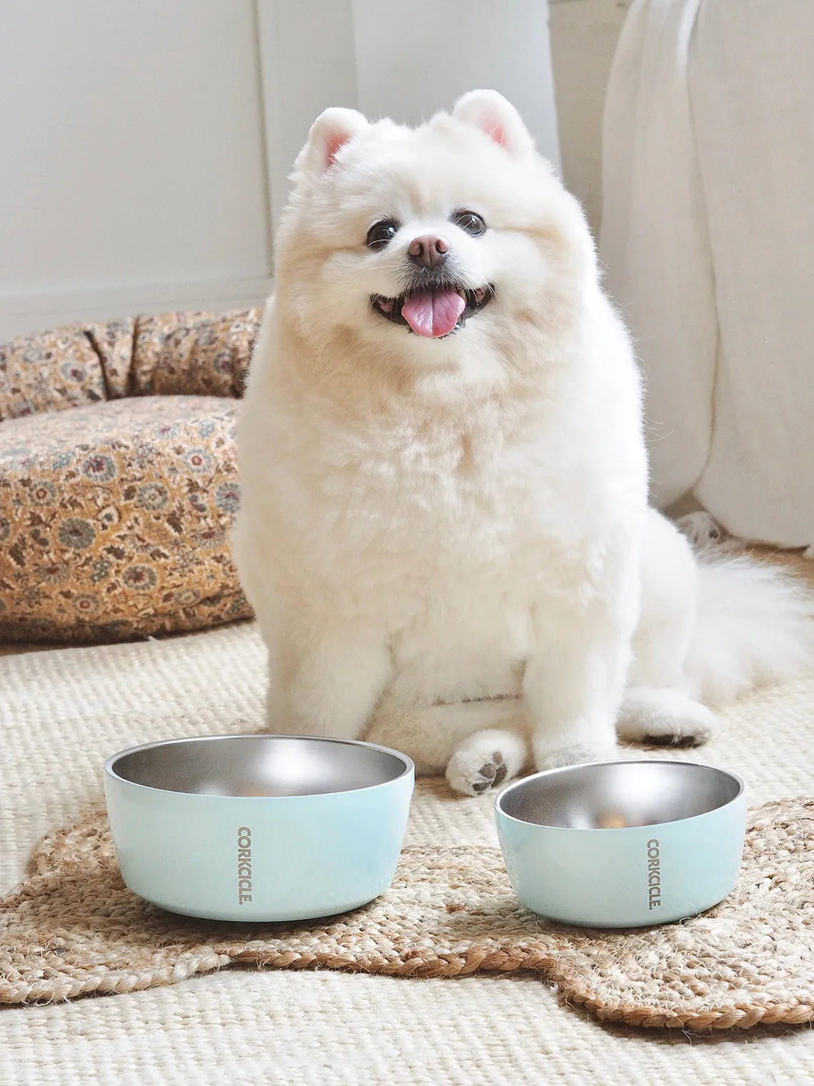 Powder Blue Dog Bowl