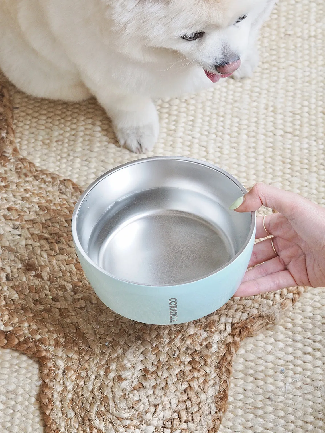 Powder Blue Dog Bowl