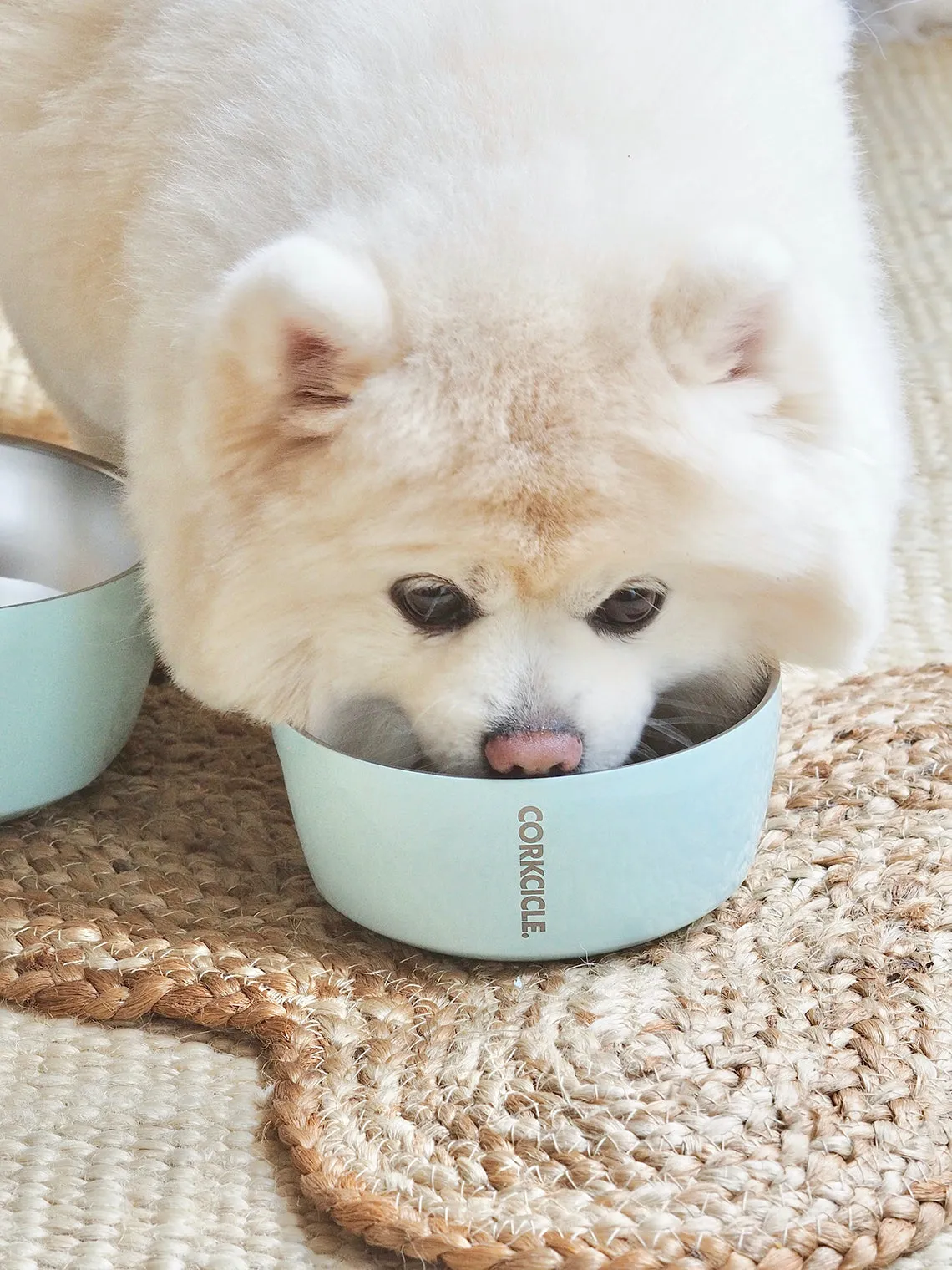 Powder Blue Dog Bowl