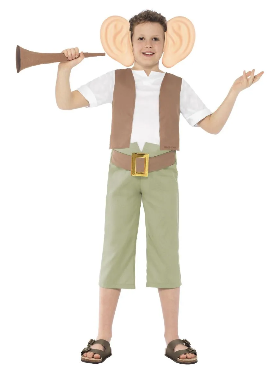 The BFG Costume T