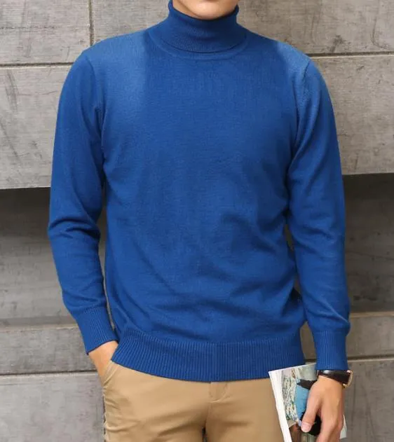 Turtleneck Long Sleeve Cashmere Sweater