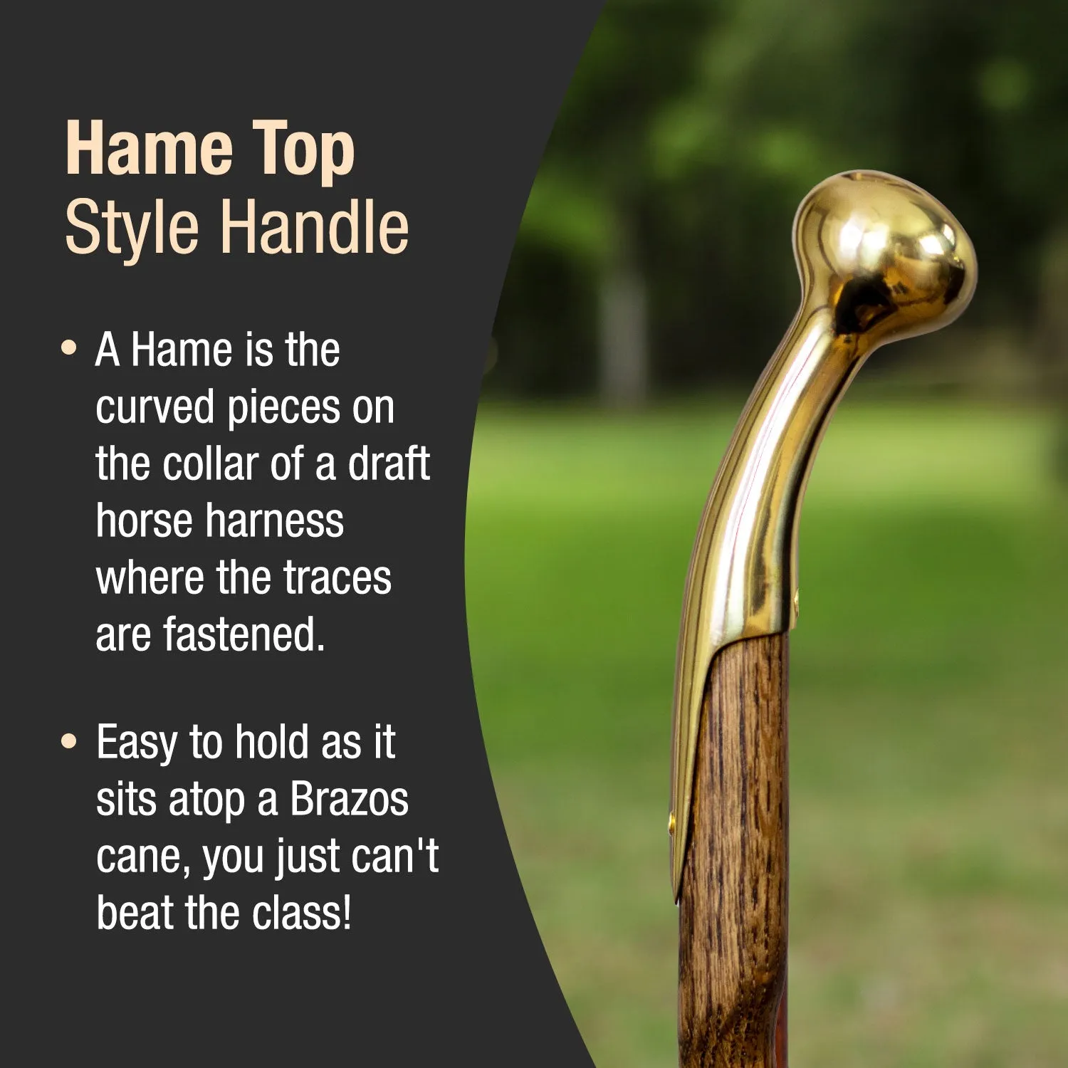 Twisted Brown Oak Hame Top Handcrafted Walking Cane 37"